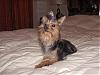 It's a slumber party!!!!-sapphire-4.jpg