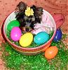 Happy Easter from Jewelina "Little Miss Bo Peep"-jewelinaeaster.jpeg