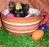 Happy Easter from Jewelina "Little Miss Bo Peep"-hiding.jpeg