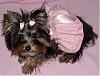 Happy Easter from Jewelina "Little Miss Bo Peep"-jewelina4.jpeg