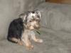 Picts of Princess getting ready to meet her new brother-princess15-005.jpg