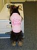 Tinker showing off her new shirt!-s8001434-tinker-standing.jpg