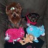 Patti spoiled Maddie and Libby!-hpim2902.jpg