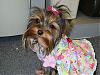 Misty In Her Easter Dress!!!!-side-view2.jpg