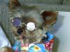 Littleman's new shades-imag0043.jpg