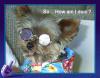 Littleman's new shades-imag0043.jpg