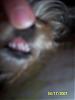 Chloe lost her first tooth...-102_1872.jpg