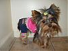 Tinker setting her new fashion trend!-s8001593.jpg