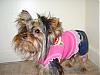 Tinker setting her new fashion trend!-s8001595.jpg