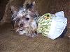 London's a flower girl!!-sundress4.jpg