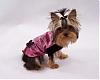 Queequeg's Photo Shoot for Fufu Fashions-100_1458c.jpg