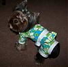 Trixie Bear is ready for summer!!-2-436-x-432-.jpg