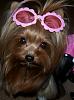 Princess Pia is ready for summer!!-9-316-x-426-.jpg