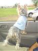 Tinkerbell looking out the window!!-picture-327.jpg