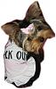 Tatum Models Her Tanks for Des at Go.Fetch!-2_2.jpg