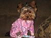 Ready for a Slumber Party? Show me your pics!-layla-037.jpg