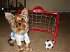 From Simon To The Girly Soccer Team~-soccer-1.jpg