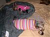 Pixie, Bogey, and Angel!-babies0597.jpg