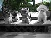 3 little cuties, in black and white-bw.jpg