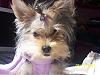 Chloe's 6-Month Birthday!!!-102_2084.jpg