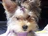 Chloe's 6-Month Birthday!!!-102_2085.jpg