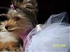 Chloe's 6-Month Birthday!!!-102_2086.jpg