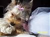 Chloe's 6-Month Birthday!!!-102_2089.jpg