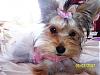 Chloe's 6-Month Birthday!!!-102_2097.jpg