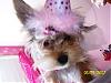 Chloe's 6-Month Birthday!!!-102_2113.jpg