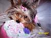 Chloe's 6-Month Birthday!!!-102_2131.jpg