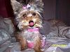 Chloe's 6-Month Birthday!!!-102_2136.jpg