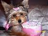 Chloe's 6-Month Birthday!!!-102_2168.jpg