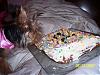 Chloe's 6-Month Birthday!!!-102_2174.jpg