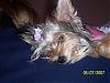 Chloe's 6-Month Birthday!!!-102_2197.jpg