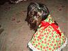 ♥Momma Lilly in her New Strawberry Dress made by Belinda♥-dsc01418.jpg