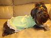 ♥Momma Lilly & Miss Lilly in Miss Laura's (Holly_Q) Dresses♥-dsc01771.jpg