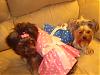 ♥My Girlz in Tinkerbell Closet's Polka Dotz Dresses By Miss Shana♥-dsc01688.jpg