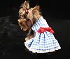 Queequeg in her "Dorothy Dress" from Chloe Bella-img_0133rev.jpg