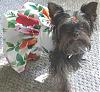 Baby's Sun Dress for Yorkie Fair-sundress2.jpg