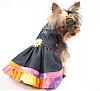 Queequeg's Photo Shoot for HollyDay Pet Couture-q_img_0220.jpg