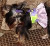 *DIVA Jewelina modeling her Sassy Summer Bikini Harness*-ja14.jpeg