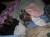 Mommy's little helper-laundry-005-600-x-450-.jpg