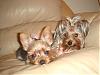 ♥New & Updated Pictures of Miss Daisy & Baby Beau Hiroki♥-dsc02005.jpg