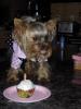 Roxy's Birthday!-yt2.jpg