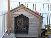 pictures of lexi and her dog house-dog-house-1.jpg