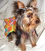 Our New Go Fetch Stuff!!!-angeldaisy.jpg