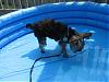 Layla in her new pool WITH her soccer ball!!-may30.07-009.jpg