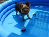 Layla in her new pool WITH her soccer ball!!-may30.07-007.jpg