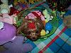 Princess Pia & Trixie's Bear's Playtime : )-23-644-x-483-.jpg
