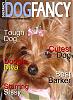 Make a Dog Fancy cover-sissydogfancycover.jpg